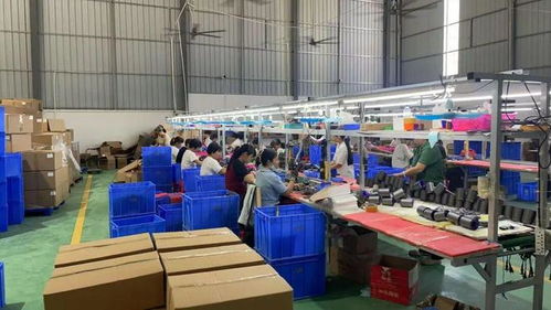 點贊！化州這個鎮“微工廠”遍地開花，留守婦女掙錢顧家兩不誤