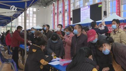 株洲市“就業創業地圖”上線，精準導航職業中介服務新體驗