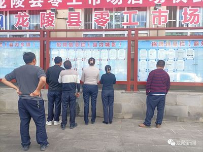 龍陵 多維度促進就業創業，高質量托穩民生幸福——職業中介服務的核心角色與創新實踐